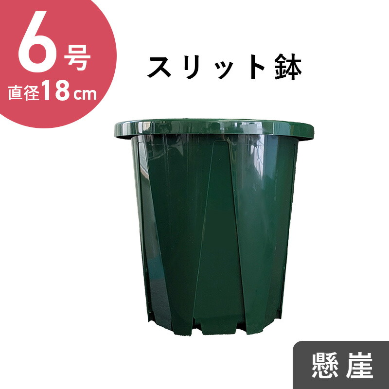 楽天市場】7号スリット鉢【懸崖タイプ】（グリーン） 直径21cm CSK-210