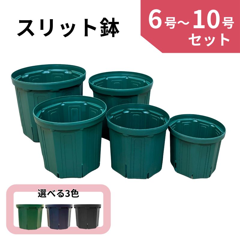 8号ロングスリット鉢28個セット 楽天市場】おしゃれ君スリット 鉢 8号 ロング : 苗木部 by 花ひろば