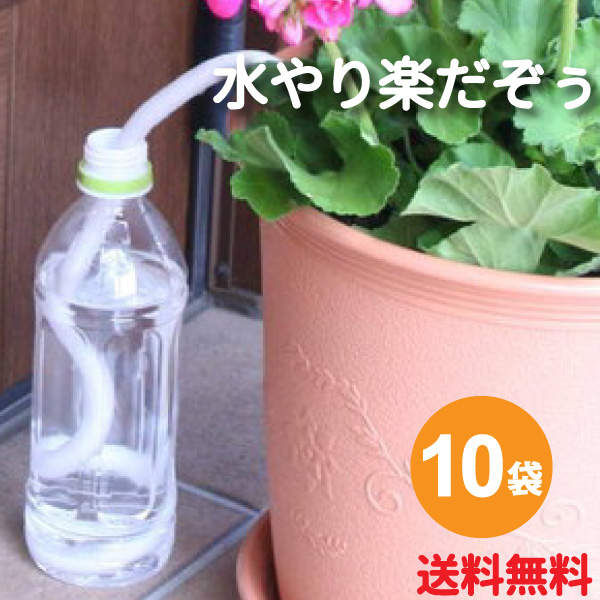 楽天市場 果樹 授粉用品 花実樹