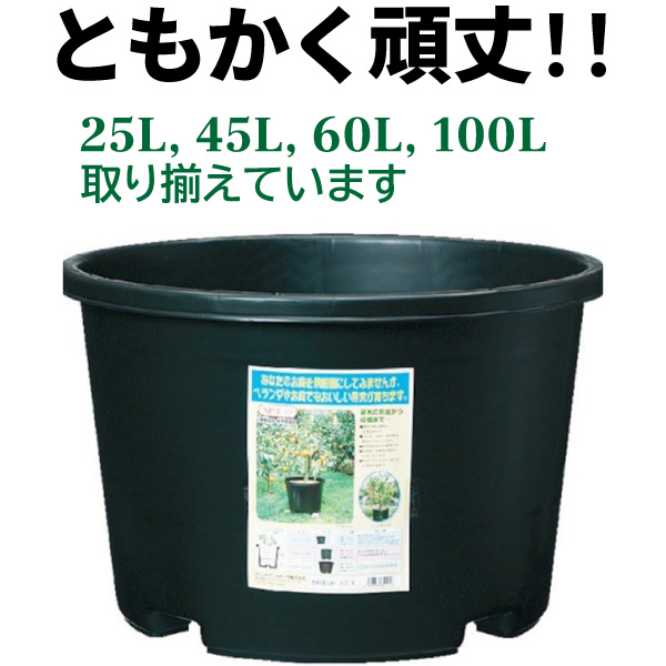 代引不可 送料無料 植木鉢 貴陽 100 花実樹とにかく丈夫で長持ち 桃苗 100リットル鉢 直径65cm 100l 21号鉢相当 有機肥料 プラ鉢 大型 Npポット 5個入り ケース販売