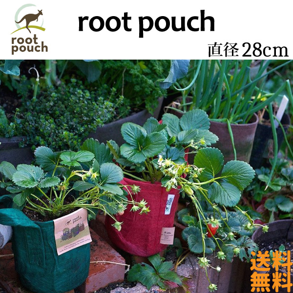 楽天市場】root pouch(ルーツポーチ) 直径28cm ＜宅配便でのお届け