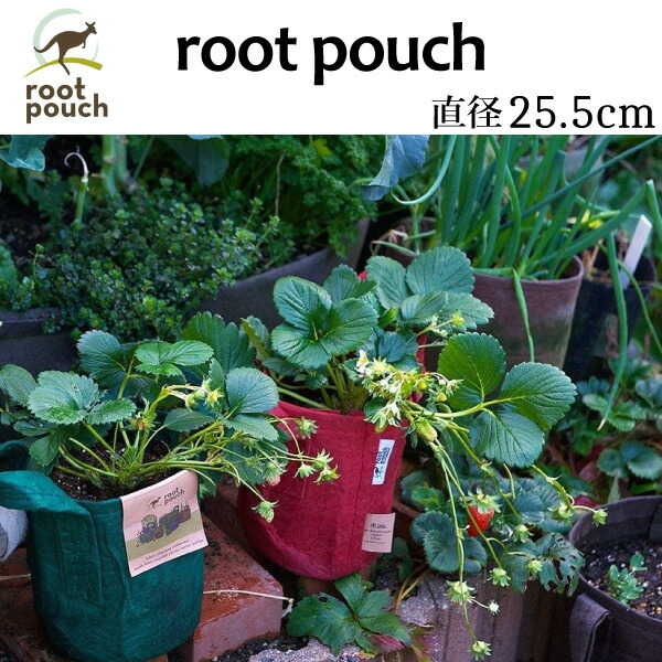 楽天市場 Root Pouch ルーツポーチ 直径25 5cm 宅配便でのお届け 3 花実樹