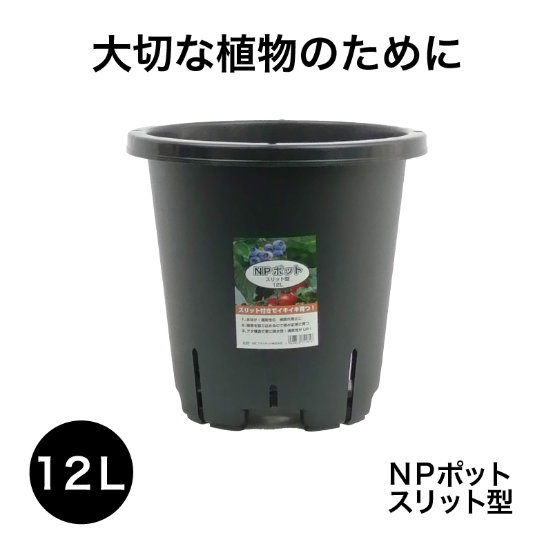 NPポット12L