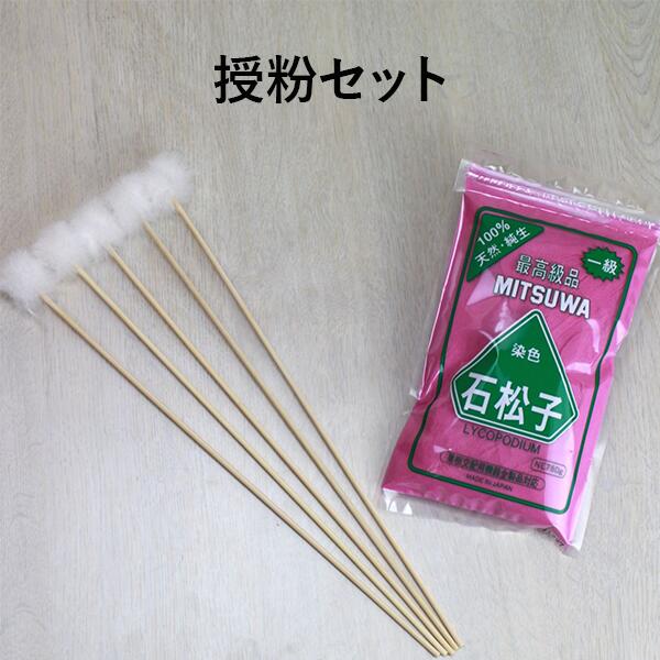 楽天市場】受粉用梵天(ぼんてん) 300mm 10本組 花粉交配用刷毛