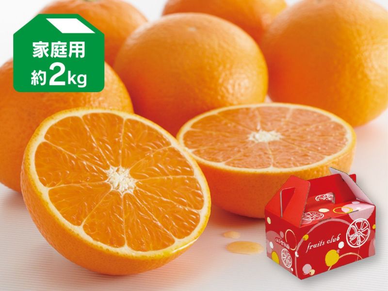 楽天市場】カラマンダリン家庭用約2kg : 愛媛みかんの「のま