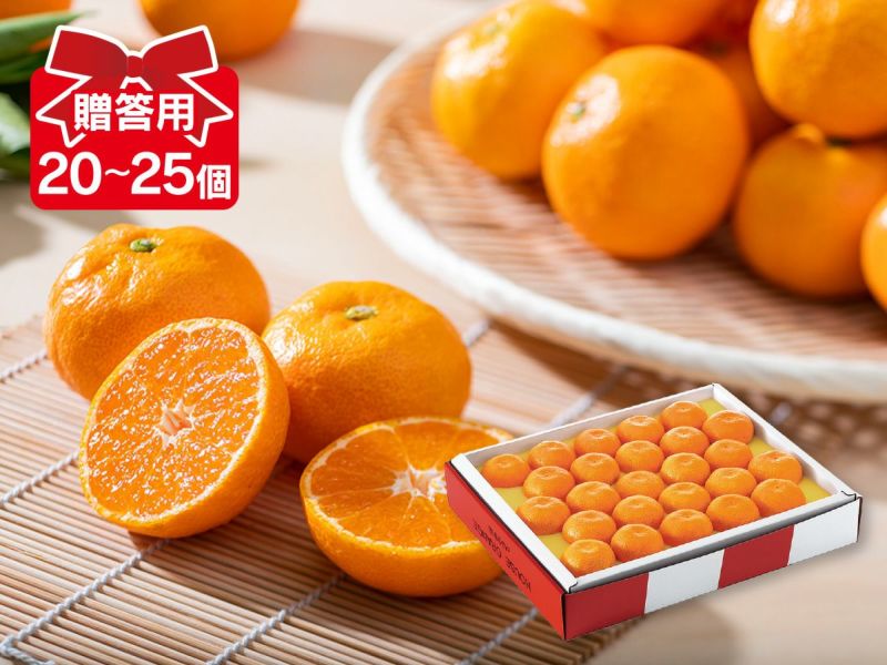 太平洋のみかん 楽天市場】金太洋 パインみかん缶詰 210g (常温) 業務用 : 業務