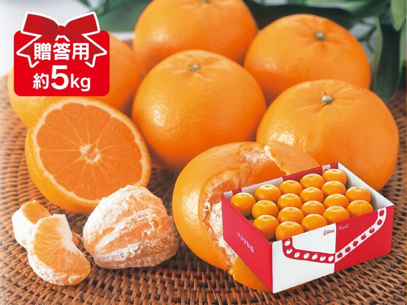 えだまめ 楽天市場】北海道産中札内産 そのまま枝豆 300g×10袋 【凍】 送料無料