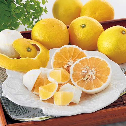 楽天市場】カラマンダリン家庭用約2kg : 愛媛みかんの「のま