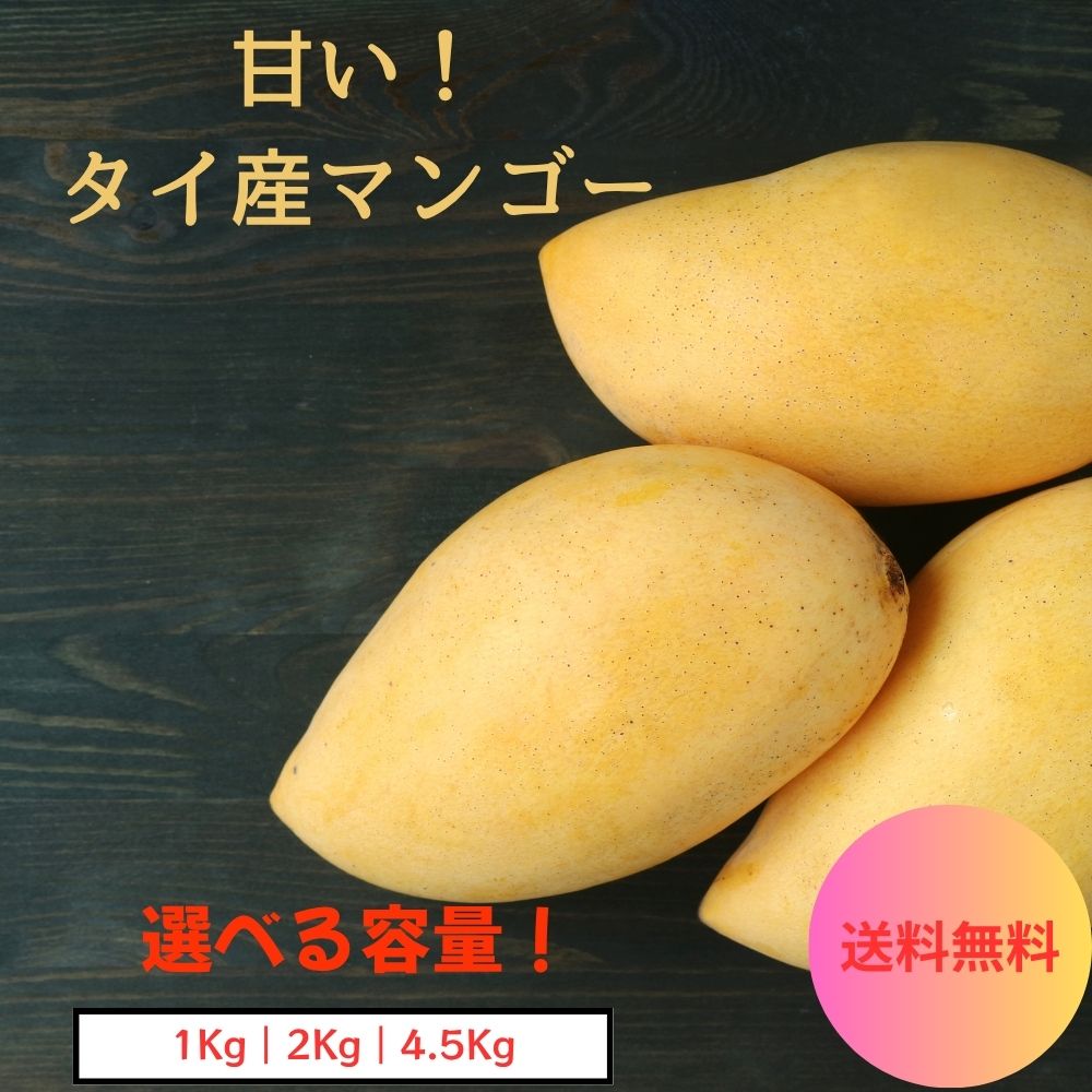 【専用】マンゴー 30玉 ナムドクマイ ナンドクマイ24 専用】マンゴー 30玉 ナムドクマイ ナンドクマイ24 超大玉