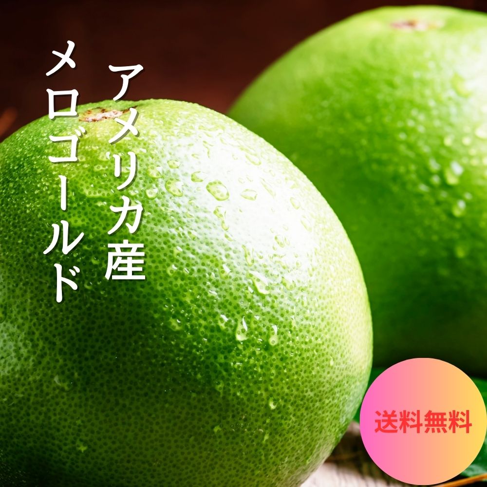【アメリカ産】メロゴールド SEQUOIA 12～13玉 大玉 特大 甘い 苦くない グレープフルーツ 柑橘 大玉 特大 送料無料 在庫限り
