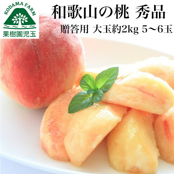 桃 お中元 ギフト 大玉 和歌山 贈答用 約2kg 5～6玉 送料無料 最高級 秀品 熨斗 もも モモ お盆 お供 御供 果物 贈答品 進物 御中元 御中元ギフト 中元 夏ギフト 紀の川 和歌山県 フルーツ くだもの 出産祝 白桃 白鳳 なつっこ 川中島白桃 産地直送
