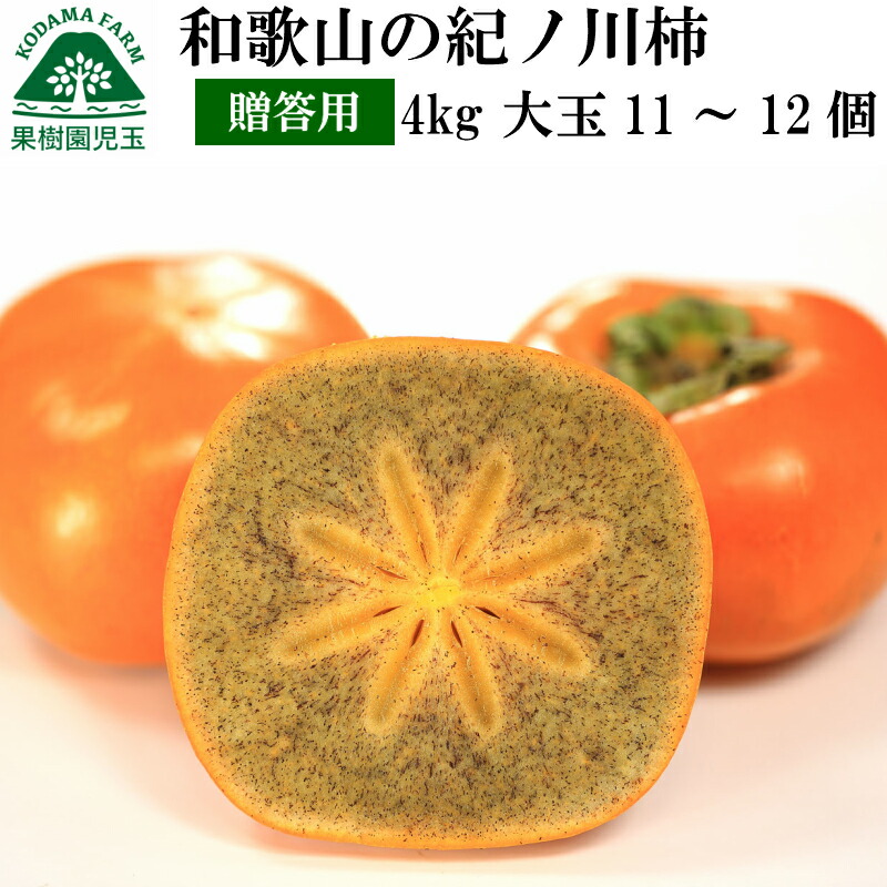 紀の川柿 和歌山 柿 贈答用 ギフト 大玉 4kg 化粧箱入り 送料無料 11～12個  赤秀 紀ノ川柿 黒あま 黒あま柿 たねなし柿 種無し柿 種なし柿 種なし フルーツ 果物 食品 かき 秋の味覚 栄養 効能 タンニン お祝 内祝 贈答 プレゼント 贈り物 39 産地直送