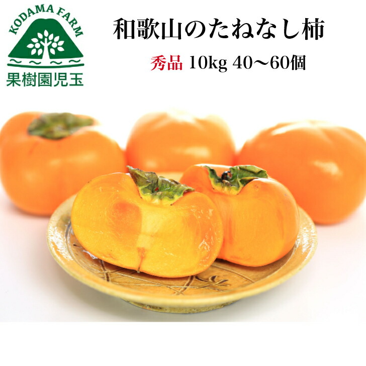 柿 10kg 秀品 和歌山 送料無料 40～60個前後  5kg2箱セット たねなし柿 種無し柿 種無しかき 種なし柿 和歌山県産 フルーツ 果物 食品 グルメ 通販 旬 かき カキ わけあり ワケあり 秋の味覚 栄養 効能 タンニン 渋抜き済み 自家用 刀根早生 39ショップ
