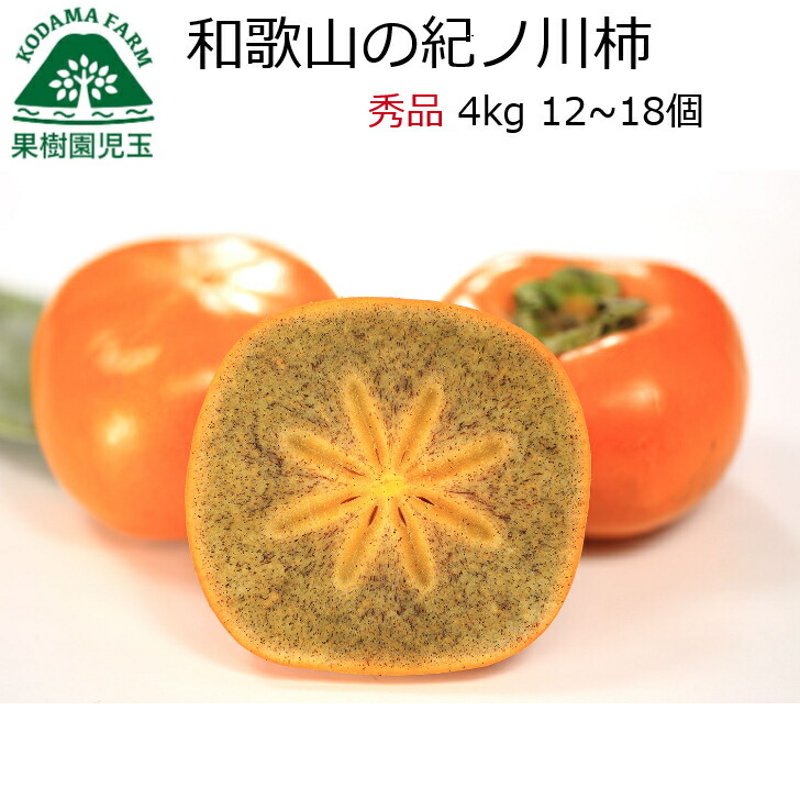 紀の川柿 柿 和歌山 秀品 送料無料 4kg 12～18個 大きさ混合 紀ノ川柿 赤秀 きのかわかき 黒あま 黒あま柿 たねなし柿 種無し柿 種なし柿 種無しかき 種なし フルーツ 果物 食品 かき わけあり 秋の味覚 栄養 効能 タンニン 自宅用 和歌山県産 39 産地直送