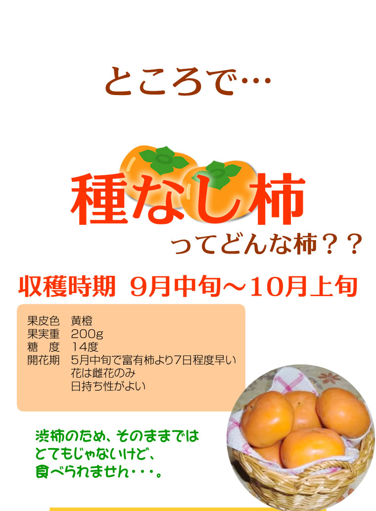 柿和歌山訳あり送料無料2kg8〜12個前後【たねなし柿/種無し柿/種なし柿/通販/旬/かき/カキ/わけあり/ワケあり/家庭用/自家用/お試し/おためし/刀根早生/平種無し/復興支援】