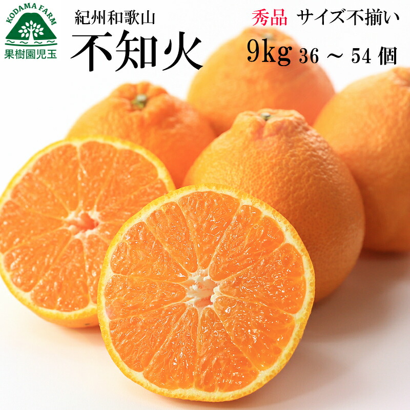 楽天市場】不知火 しらぬい 秀 みかん 5kg 和歌山 送料無料 20〜30個
