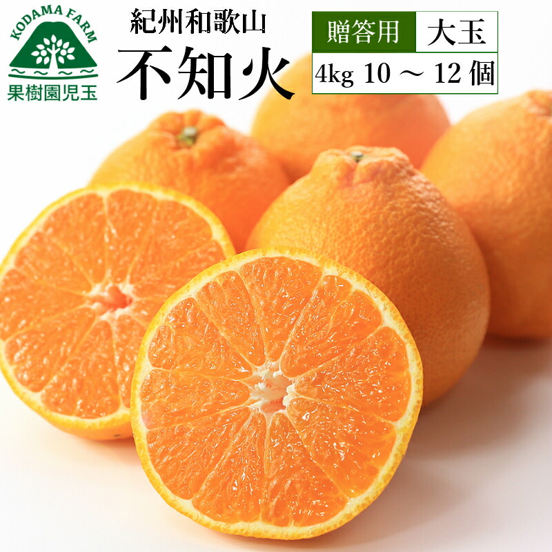 楽天市場】不知火 しらぬい 秀 みかん9kg 和歌山 送料無料 36〜54個