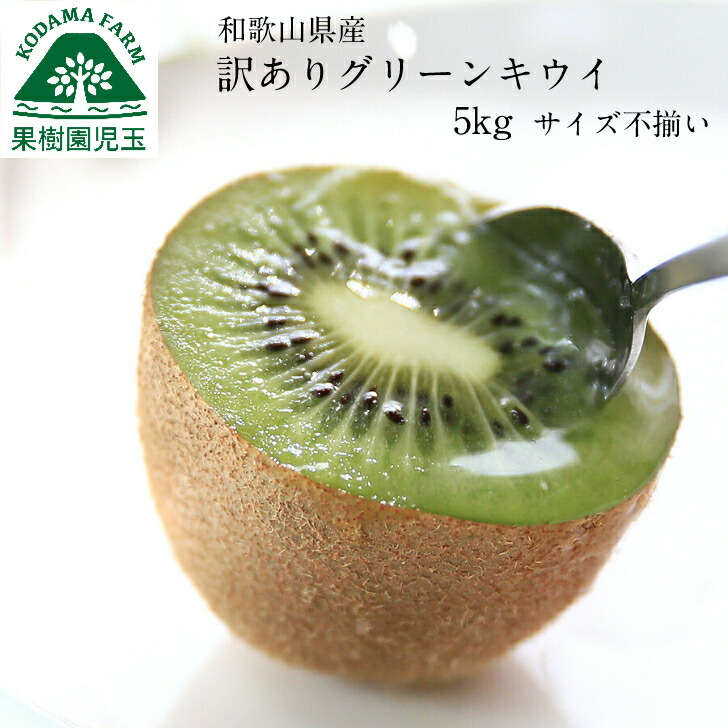 RAN【高級品】和歌山県産キウイ4L 20個入り、3L24個入り RAN様専用【高級品】和歌山県産キウイ4L 20個入り、3L24個入り