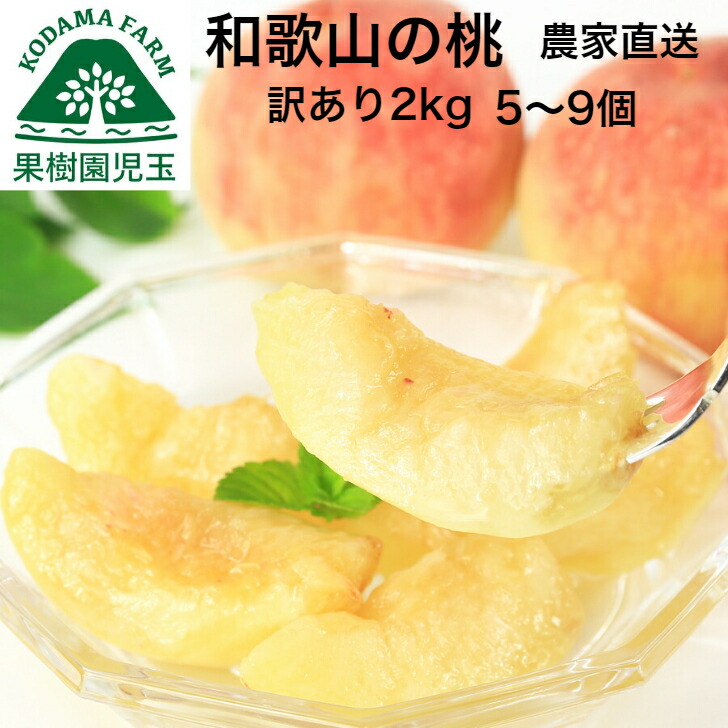 楽天市場 桃 訳あり 和歌山 約2kg 5 9玉 送料無料 もも モモ 紀の川 フルーツ 訳アリ わけあり おすすめ 人気 お試し おためし お取り寄せ 白桃 日川白鳳 紀の里白鳳 白鳳 なつっこ 川中島白桃 和歌山県 和歌山産 39ショップ 産地直送 あす楽 紀州の桃柿みかん農園