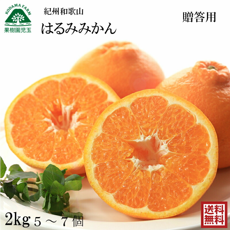 農家直送の桃57種類ご紹介 買って食べられる桃の品種図鑑 2021年7月13日更新 農家漁師から産地直送の通販 ポケットマルシェ