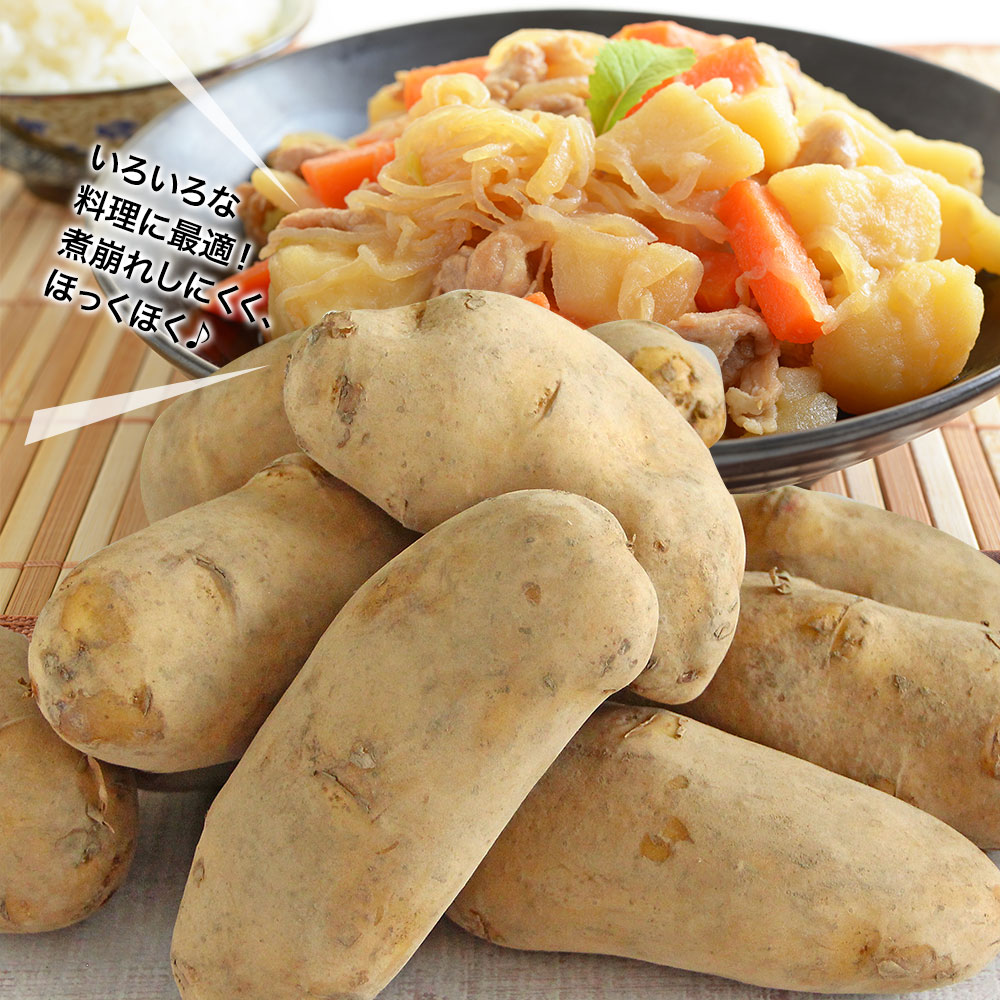 営業日当日発送】訳あり じゃがいもジャガイモ 送料無料 メークイン