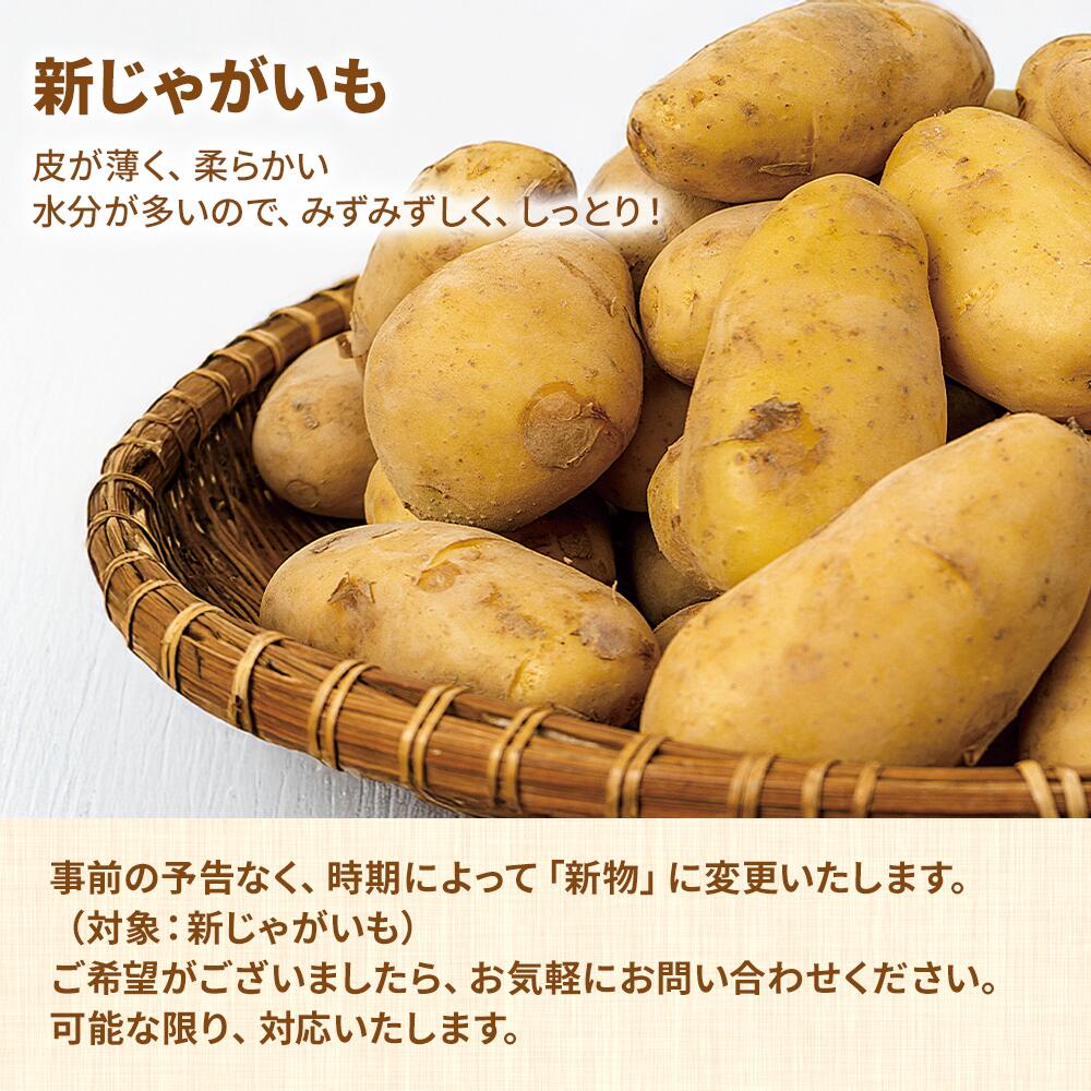 営業日当日発送】訳あり じゃがいもジャガイモ 送料無料 メークイン
