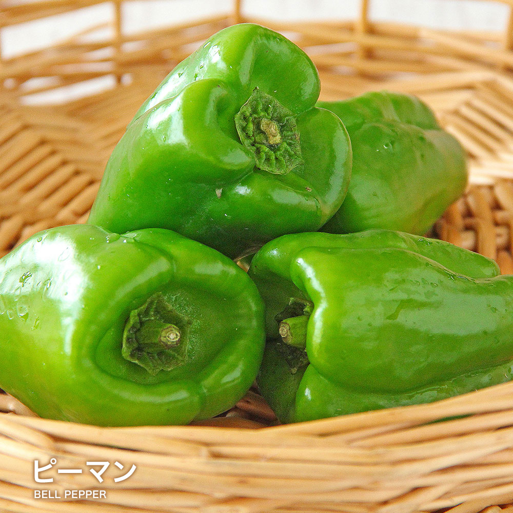 Piman 【楽天市場】【営業日当日発送】ピーマン 送料無料 定番 万能 野菜 緑黄色 ぴーまん ピーマン肉詰め 青椒肉絲 酢豚 中華 味噌炒め おひたし ...