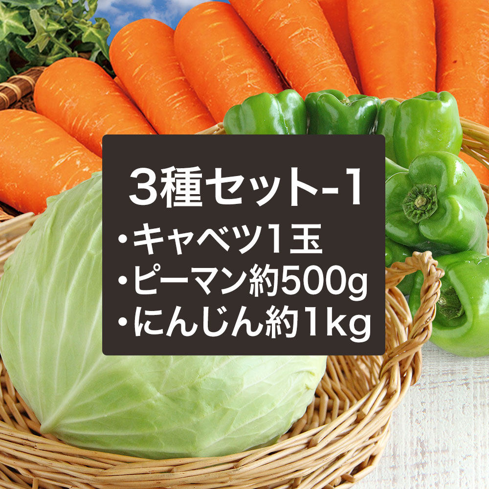 野菜セットB（キャベツ5玉・たまねぎ・じゃがいも・にんじん約5kg）4種