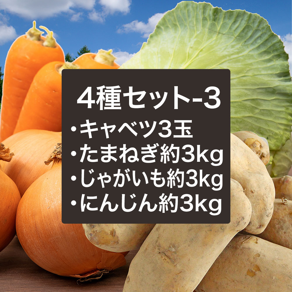 野菜3種セット（たまねぎ・にんじん・新じゃがいも）各約５kg 合計１５kg