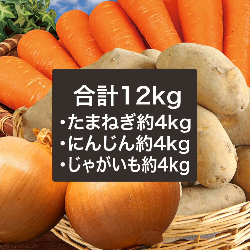 野菜セットC キャベツ5玉・たまねぎ・にんじん約5kg・ピーマン約2.5kg