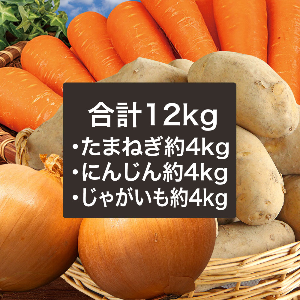 野菜セットC キャベツ5玉・たまねぎ・にんじん約5kg・ピーマン約2.5kg-