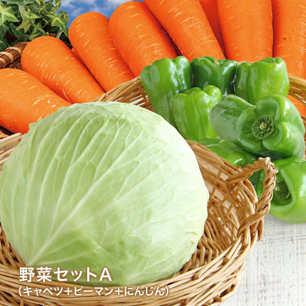野菜セットC（キャベツ4玉・たまねぎ・にんじん約4kg・ピーマン