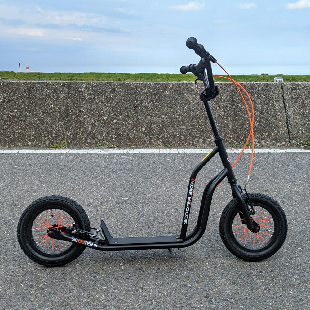 価格最前線】【送料無料】nsmNEW STREET MOVE スクーターバイク 12