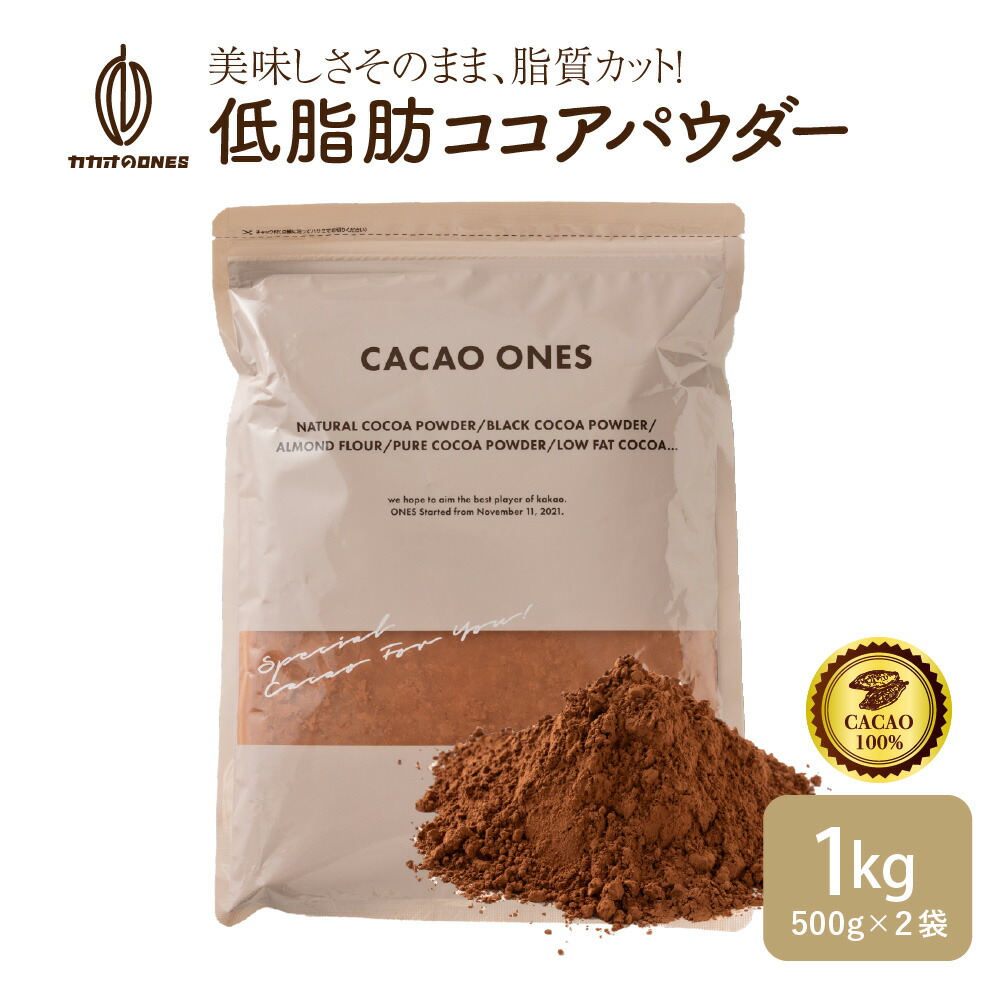 ココアパウダー1.2kg×4レーズン1.2kg その他 加工食品