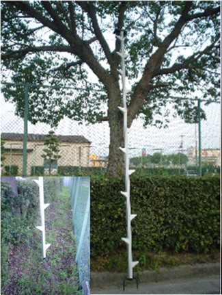枝打掛けはしご４ｍ\u003cBR\u003e植木屋さんも使う枝打掛けはしご 園芸 掛けはしご