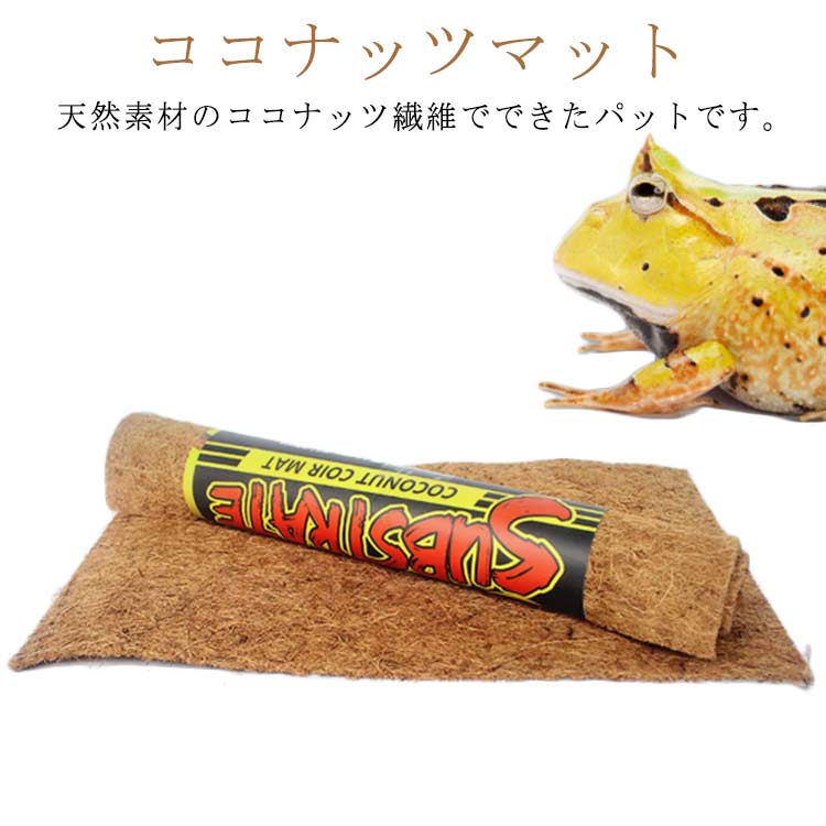 楽天市場】マルカン コーンクリーンベッド 900g ハムスター 鳥 亀