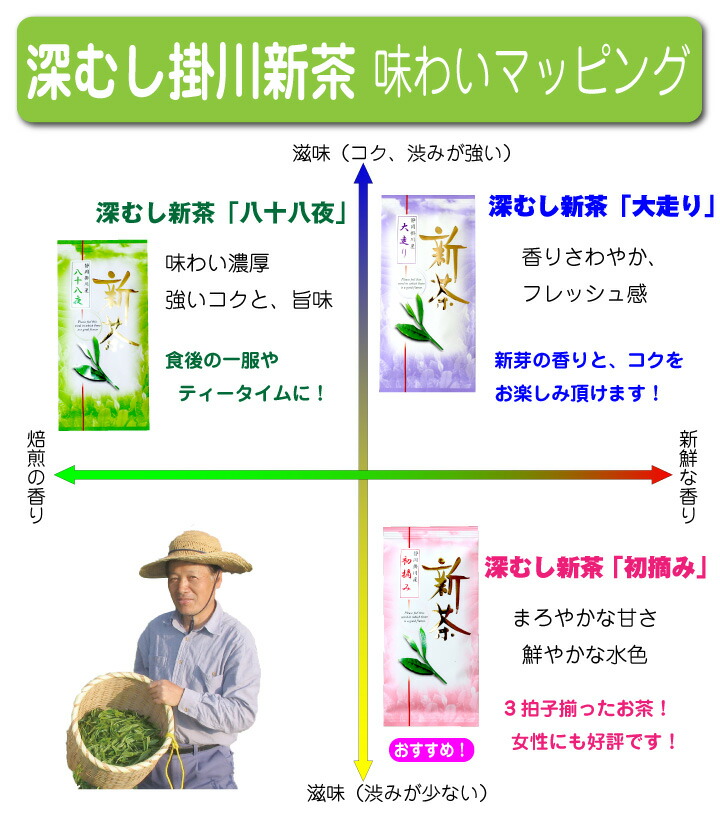 日本茶お茶「新茶特急便セット」、『新茶大走り』100g、『新芽初摘み』100g掛川茶お茶深蒸し茶緑茶送料無料静岡茶煎茶緑茶深むし茶おしゃれ急須茶葉カテキンEGCGエピガロカテキン
