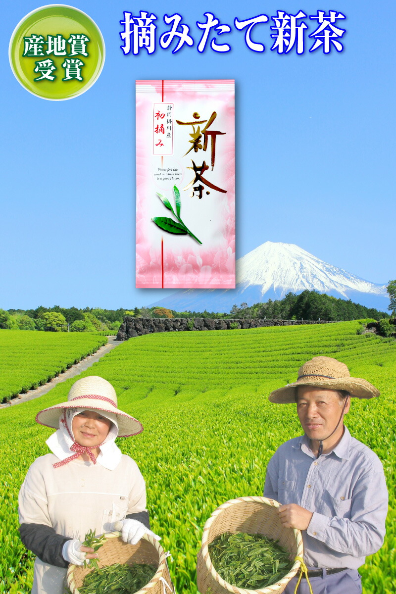 楽天市場 新茶 深蒸し茶 初摘み 日本茶 お茶 飲料 深蒸し 掛川茶 緑茶 茶葉 リーフ 静岡茶 煎茶 静岡茶 掛川茶 お茶 深蒸し茶 緑茶 送料無料 静岡茶 煎茶 緑茶 深むし茶 おしゃれ 急須 茶葉 カテキン Egcg エピガロカテキン 静岡掛川茶オンラインショップ