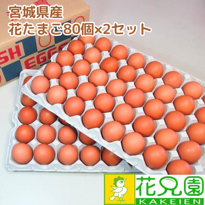 【送料無料】花たまご （80個）×2セット  卵 玉子 タマゴ たまご 鶏卵 赤殻 赤がら 新鮮 産みたて 産直 産地直送 生卵 濃厚 採れたて 生みたて 卵かけごはん 卵かけご飯 卵焼き 玉子焼き 養鶏場直送 宮城県産