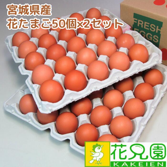 【送料無料】花たまご （50個）×2セット    卵 玉子 タマゴ たまご 鶏卵 赤殻 赤がら 新鮮 産みたて 産直 産地直送 生卵 濃厚 採れたて 生みたて 卵かけごはん 卵かけご飯 卵焼き 玉子焼き 養鶏場直送 宮城県産