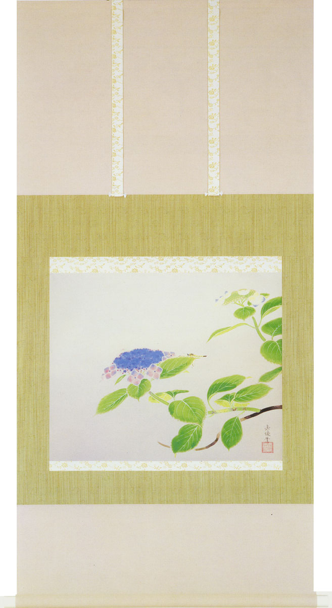 中村岳陵　掛け軸　八仙花　送料無料　【掛軸】【一間床・半間床】【丈の短い掛軸】【夏】