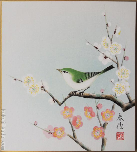 楽天市場】藤田春穂 「 紅白梅に小禽 」 色紙絵 : 内田画廊