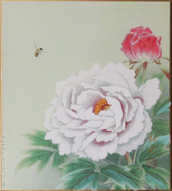 楽天市場】高級色紙「赤富士」秀峰（色紙絵）送料無料 : 掛け軸・絵画