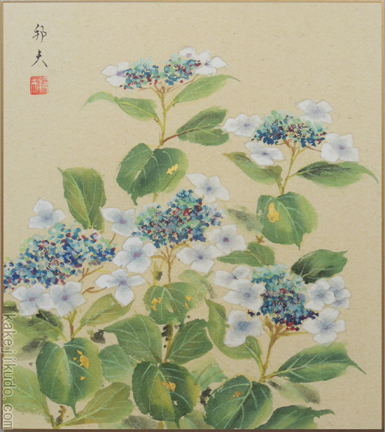 日本画⑩　紫陽花 楽天市場】片山邦夫 「 紫陽花 ( 額紫陽花 ) 」 色紙絵 : 内田画廊