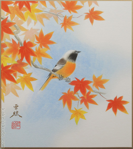 楽天市場】林 亜綜 「 紅葉 」 色紙絵 : 内田画廊