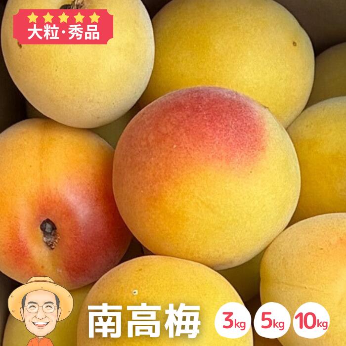 専用出品　yaeyama様　完熟3Lサイズ5kg 楽天市場】和歌山県産 南高梅 完熟梅 秀品 5kg 3Lサイズ以上(3L