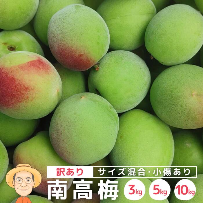 木熟　南高梅　青梅　小さめ　7kg 楽天市場】樹熟梅（きじゅくうめ）無農薬 南高梅 熊野 生梅 手