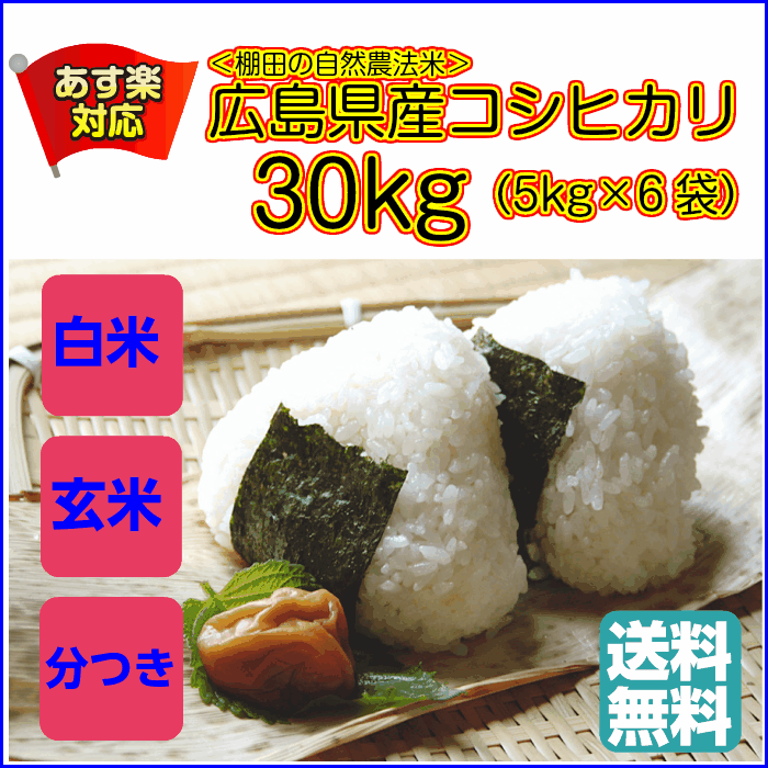 令和元年度 広島県産コシヒカリ 25キロ玄米（送料込）の+