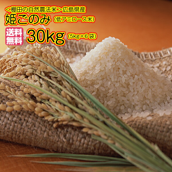 最安値挑戦 楽天市場 送料無料 広島県産姫ごのみ 30kg 5kg 6黄金袋令和元年産 1等米 かきもと米穀のよしだ小町 高い品質 Lexusoman Com