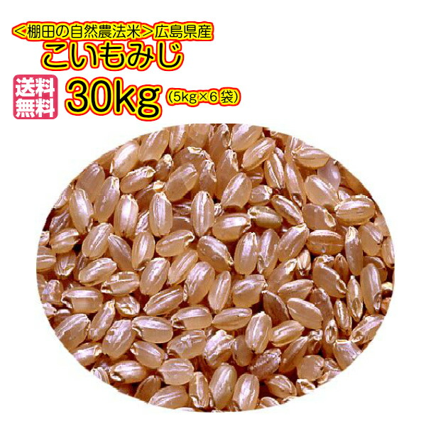 楽天市場】中生新千本 30kg 5kg×6無地袋 送料無料広島県産中生新千本